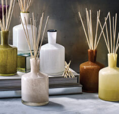 diffuser and reeds